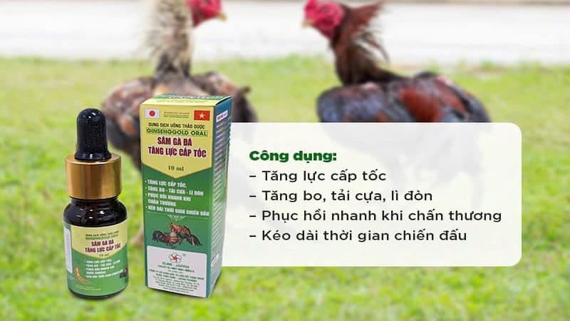 Các loại thuốc tăng bo cho gà đá phổ biến hiện nay